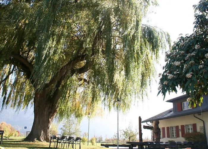 Des Vergers לינה וארוחת בוקר *