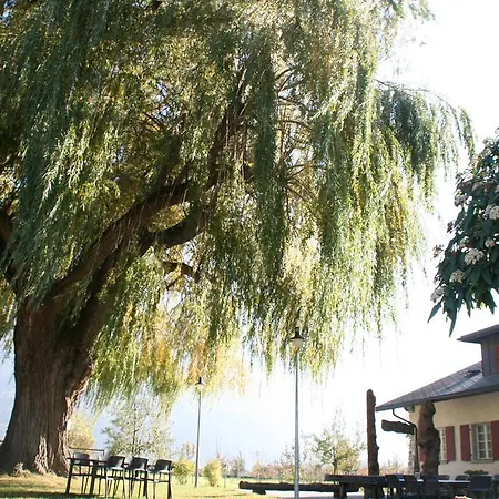 Des Vergers Bed and Breakfast *